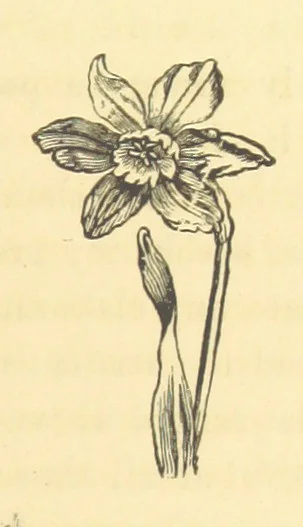 An illustration from Pictorial Effect in Photography: being hints on composition and chiaroscuro for photographers. To which is added a chapter on combination painting, 1869, leaf 67