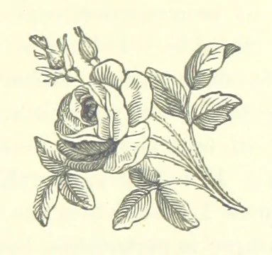 An illustration from Till Death us Sever ... A novel, 1888, leaf 33