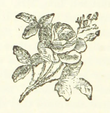 An illustration from The Loyal'st Husband; or, Till Death us Sever ... New edition, revised, etc, 1891, leaf 194