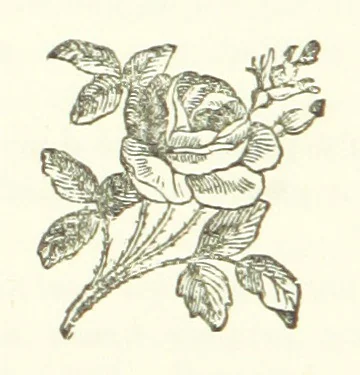 An illustration from The Loyal'st Husband; or, Till Death us Sever ... New edition, revised, etc, 1891, leaf 270