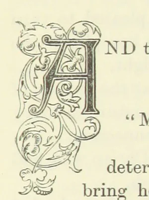 An illustration from The Loyal'st Husband; or, Till Death us Sever ... New edition, revised, etc, 1891, leaf 289