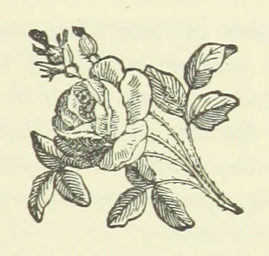 An illustration from The Loyal'st Husband; or, Till Death us Sever ... New edition, revised, etc, 1891, leaf 75