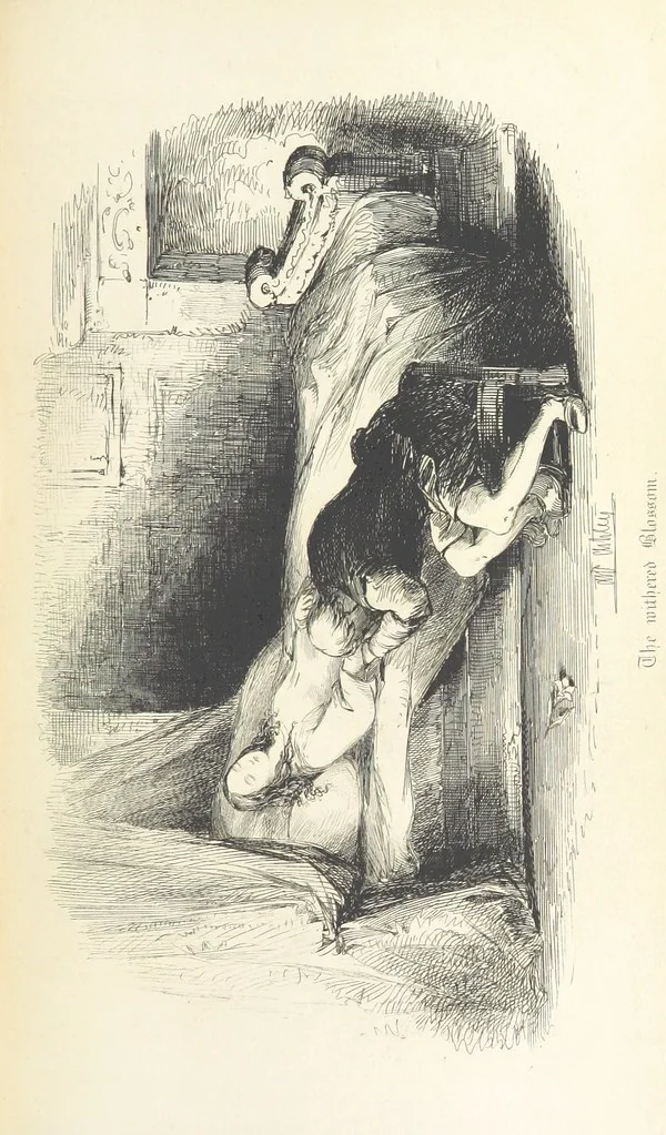 An illustration from Old London Bridge, a romance of the sixteenth century. Illustrated by A. Ashley, 1848, leaf 341