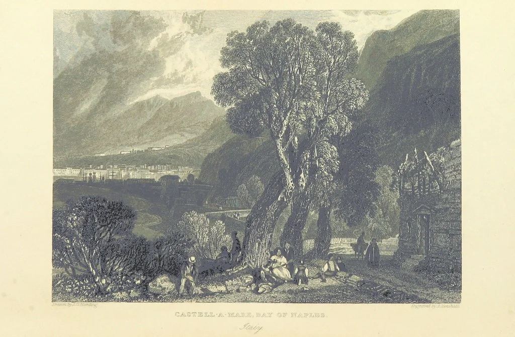 An illustration from The Continental Tourist. Views of Cities and Scenery in Italy, France, and Switzerland. From original drawings by S. Prout, ... and J. D. Harding, with descriptions in English by T. Roscoe, and in French by A. Sosson, 1849, leaf 550