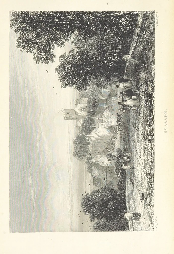 An illustration from Wanderings and Excursions in North Wales, with 51 engravings, by Radclyffe, from drawings by Cattermole, Cox, etc, 1853, leaf 105