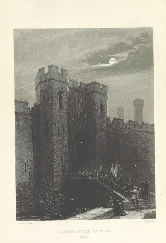 An illustration from Wanderings and Excursions in North Wales, with 51 engravings, by Radclyffe, from drawings by Cattermole, Cox, etc, 1853, leaf 201