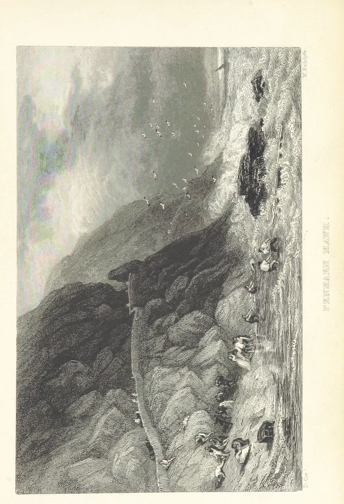 An illustration from Wanderings and Excursions in North Wales, with 51 engravings, by Radclyffe, from drawings by Cattermole, Cox, etc, 1853, leaf 241
