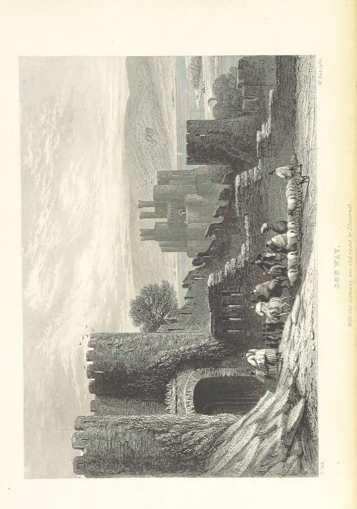 An illustration from Wanderings and Excursions in North Wales, with 51 engravings, by Radclyffe, from drawings by Cattermole, Cox, etc, 1853, leaf 249