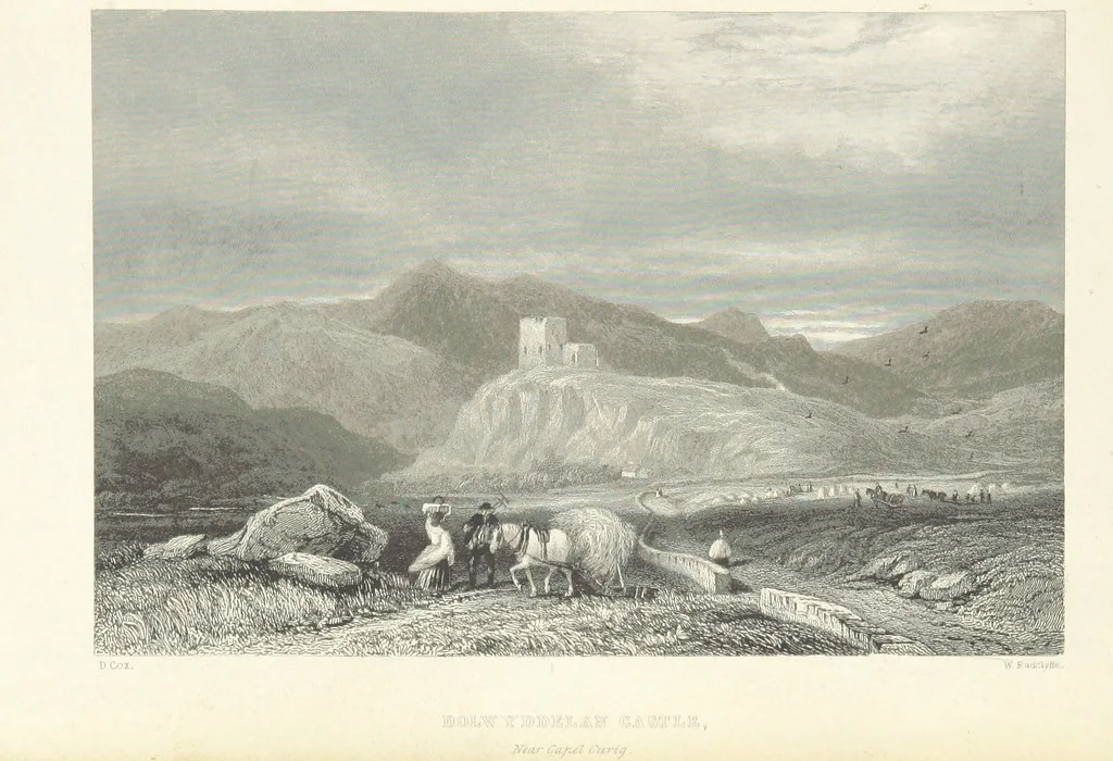 An illustration from Wanderings and Excursions in North Wales, with 51 engravings, by Radclyffe, from drawings by Cattermole, Cox, etc, 1853, leaf 287