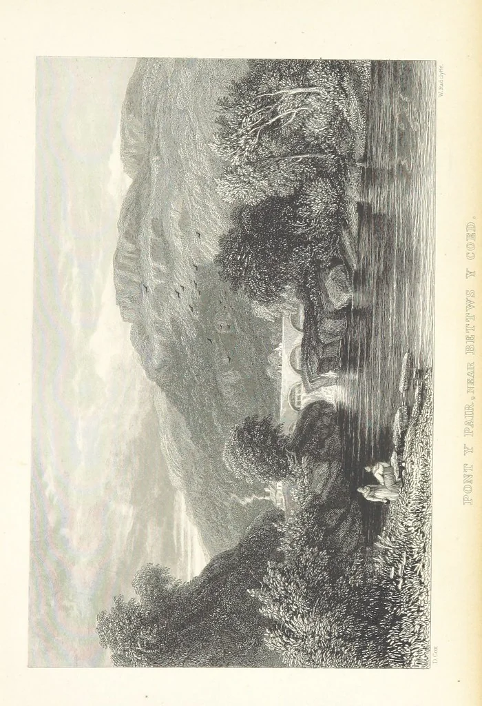An illustration from Wanderings and Excursions in North Wales, with 51 engravings, by Radclyffe, from drawings by Cattermole, Cox, etc, 1853, leaf 297