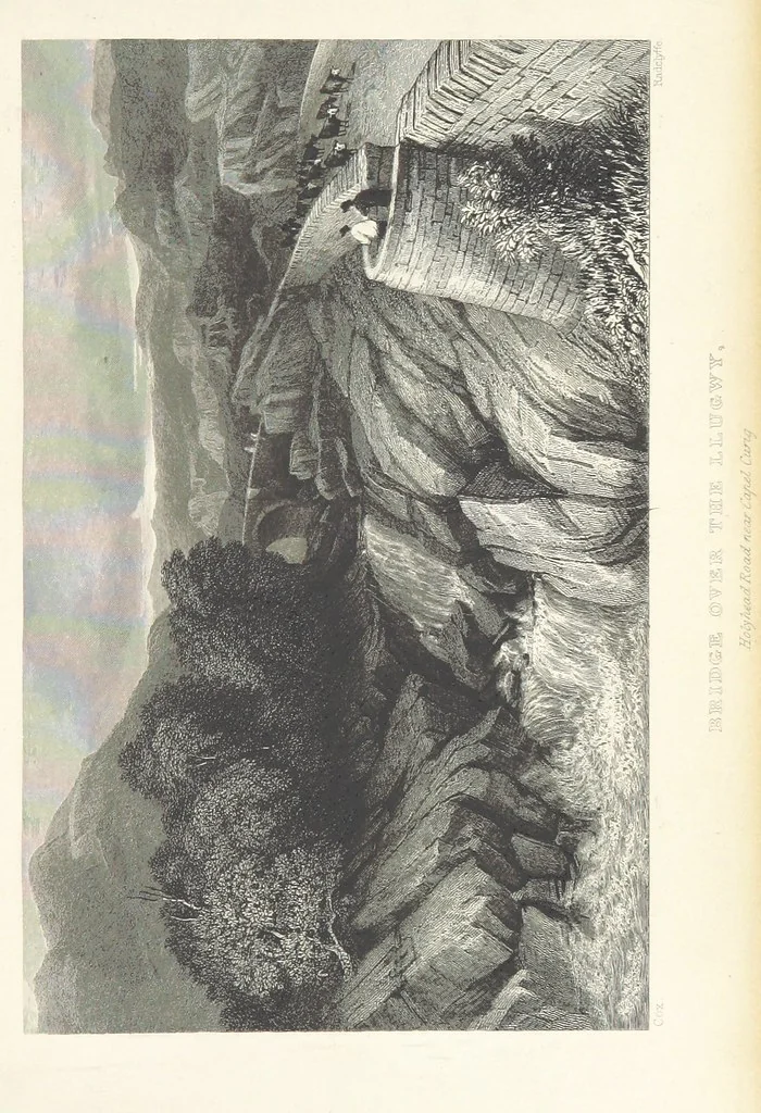 An illustration from Wanderings and Excursions in North Wales, with 51 engravings, by Radclyffe, from drawings by Cattermole, Cox, etc, 1853, leaf 307
