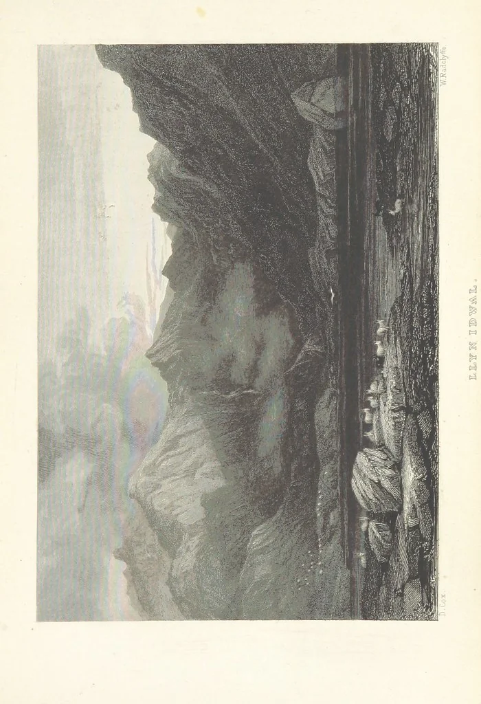 An illustration from Wanderings and Excursions in North Wales, with 51 engravings, by Radclyffe, from drawings by Cattermole, Cox, etc, 1853, leaf 315