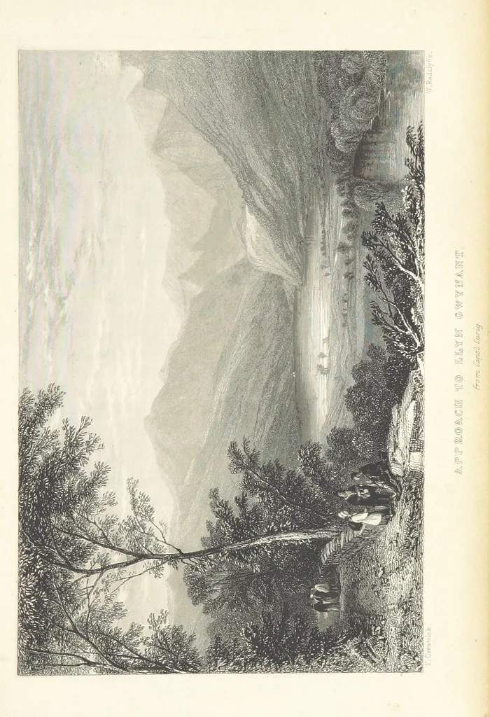 An illustration from Wanderings and Excursions in North Wales, with 51 engravings, by Radclyffe, from drawings by Cattermole, Cox, etc, 1853, leaf 347