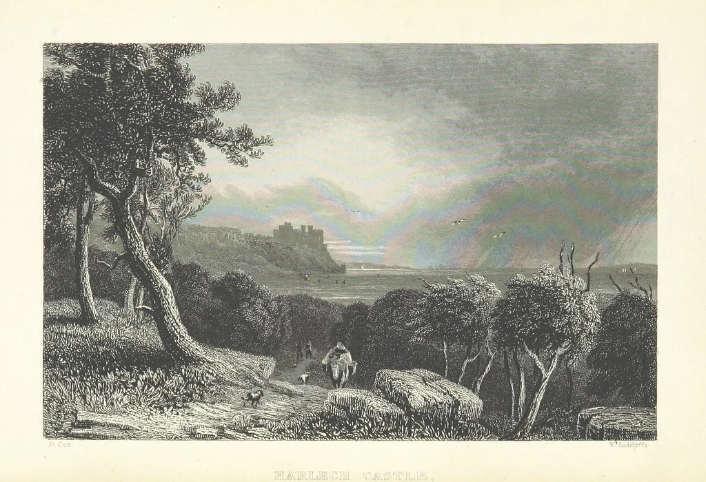 An illustration from Wanderings and Excursions in North Wales, with 51 engravings, by Radclyffe, from drawings by Cattermole, Cox, etc, 1853, leaf 387