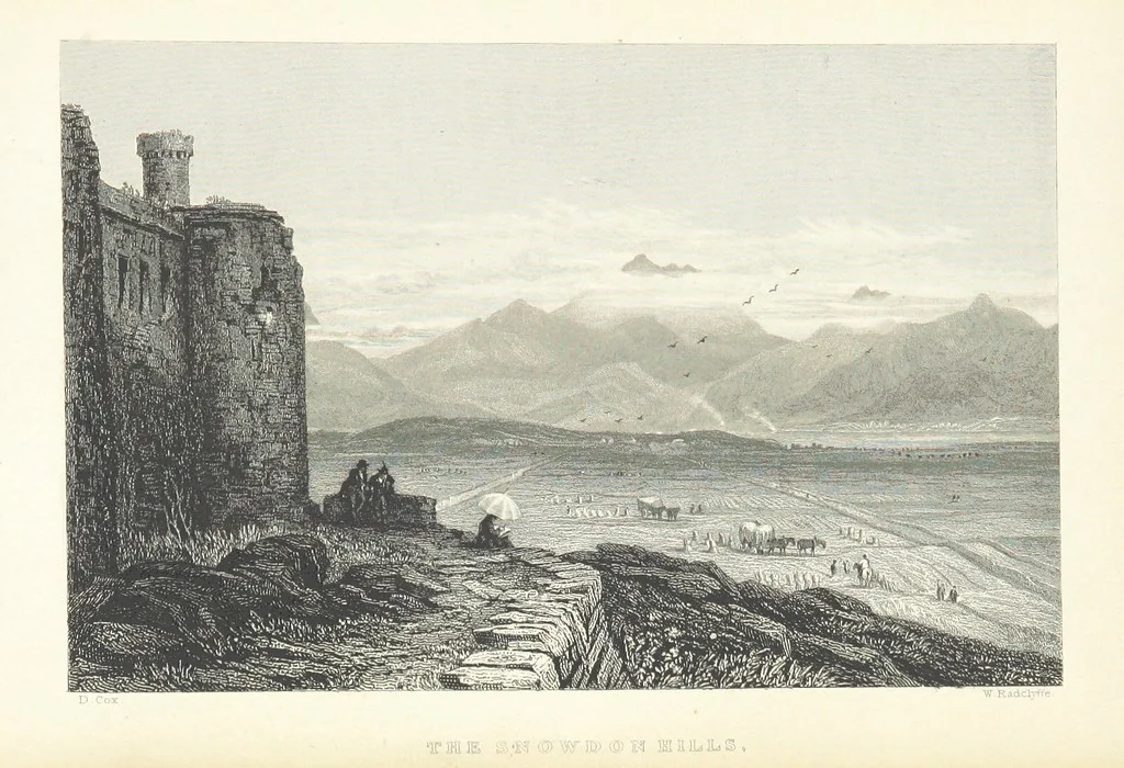 An illustration from Wanderings and Excursions in North Wales, with 51 engravings, by Radclyffe, from drawings by Cattermole, Cox, etc, 1853, leaf 393