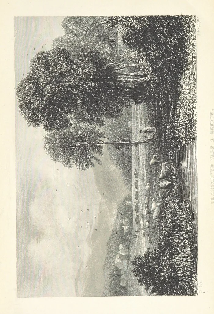 An illustration from Wanderings and Excursions in North Wales, with 51 engravings, by Radclyffe, from drawings by Cattermole, Cox, etc, 1853, leaf 419