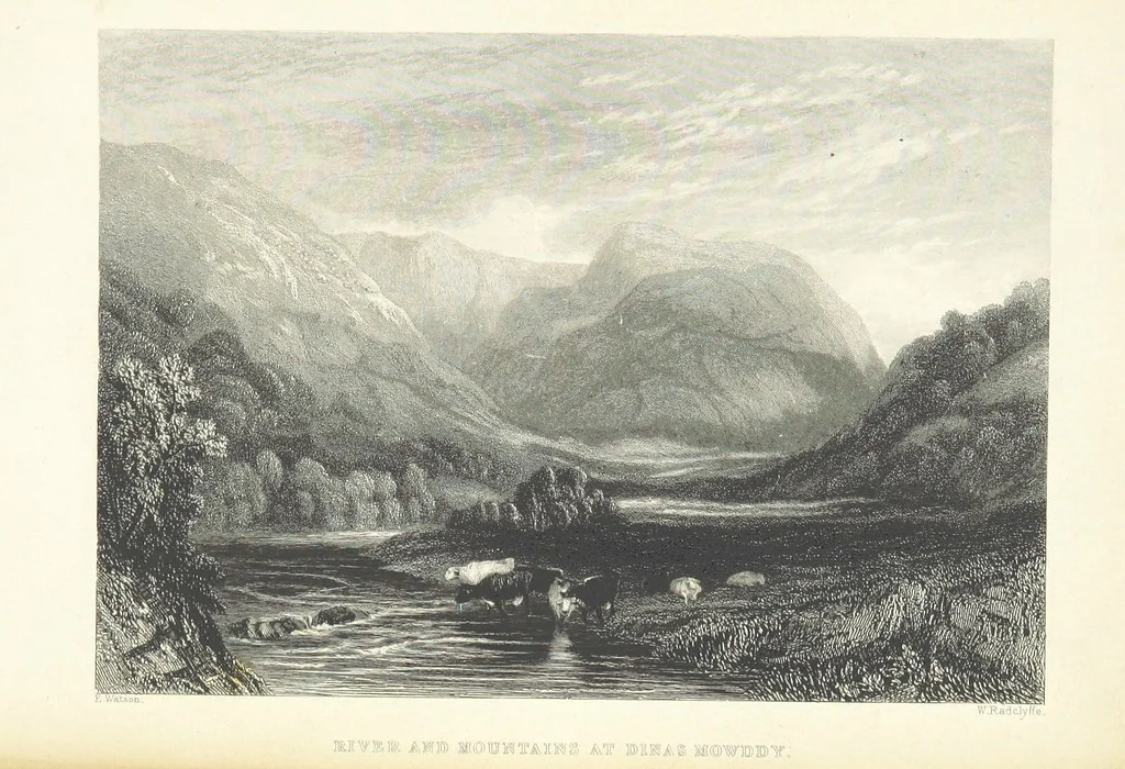 An illustration from Wanderings and Excursions in North Wales, with 51 engravings, by Radclyffe, from drawings by Cattermole, Cox, etc, 1853, leaf 453
