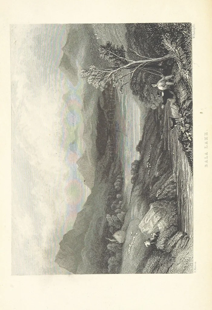 An illustration from Wanderings and Excursions in North Wales, with 51 engravings, by Radclyffe, from drawings by Cattermole, Cox, etc, 1853, leaf 459