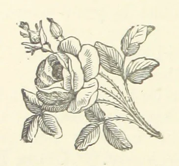An illustration from Armand de l'Isle. [A novel, 1893, leaf 48