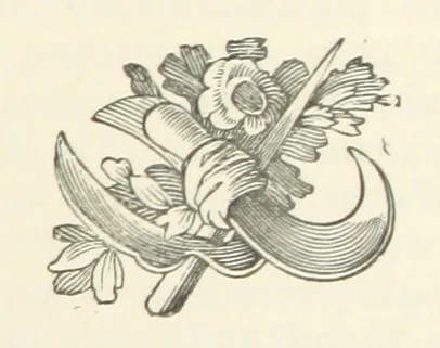 An illustration from Armand de l'Isle. [A novel, 1893, leaf 69