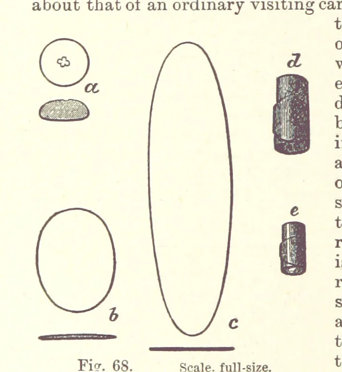 An illustration from The Metallurgy of Gold ... Second edition, 1896, leaf 468