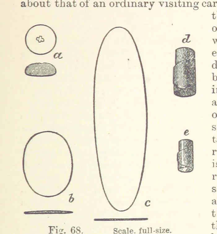 An illustration from The Metallurgy of Gold ... Third edition, revised and enlarged, 1898, leaf 499