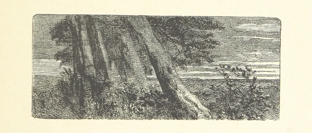 An illustration from A round of days described in original poems by some of our most celebrated poets, and in pictures by eminent artists engraved by the Brothers Dalziel, 1866, leaf 67