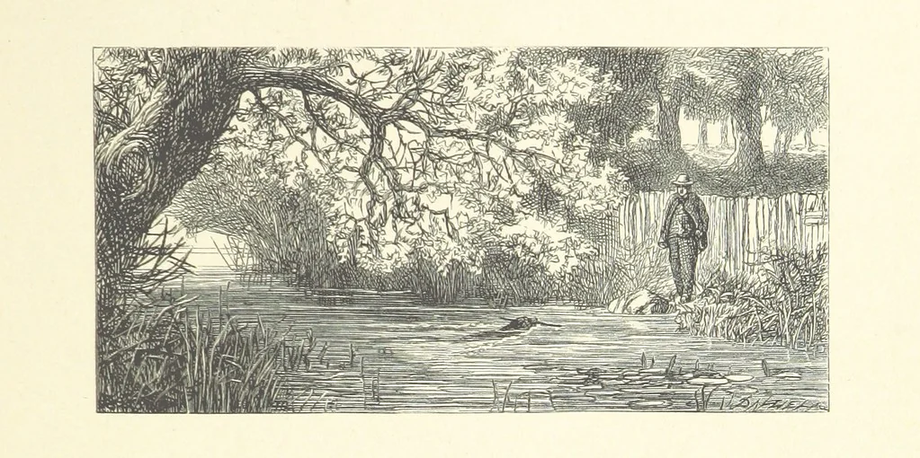 An illustration from A round of days described in original poems by some of our most celebrated poets, and in pictures by eminent artists engraved by the Brothers Dalziel, 1866, leaf 91