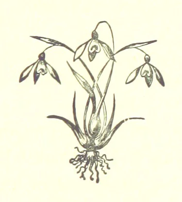 An illustration from Saint Nicolas' Eve, and other tales, 1880, leaf 165