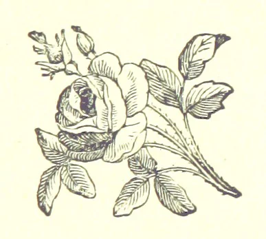 An illustration from Saint Nicolas' Eve, and other tales, 1880, leaf 383
