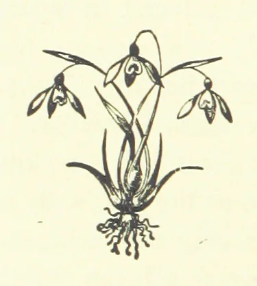 An illustration from Saint Nicolas' Eve, and other tales, 1880, leaf 80