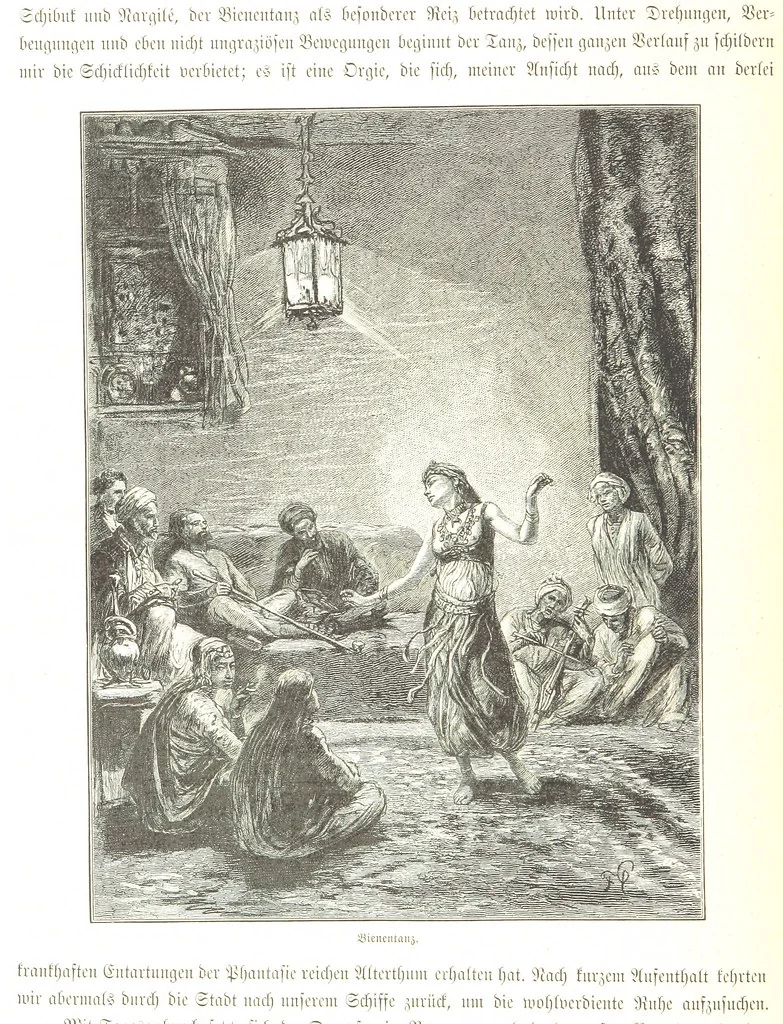 An illustration from Eine Orientreise vom Jahre 1881 ... illustrirt ... von F. von Pausinger, 1885, leaf 104