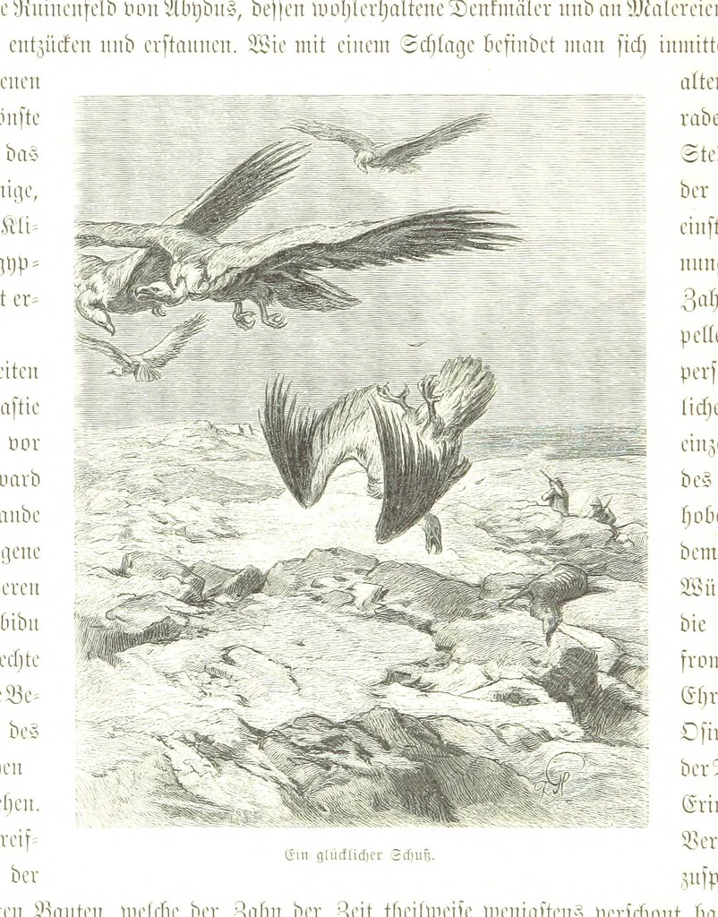 An illustration from Eine Orientreise vom Jahre 1881 ... illustrirt ... von F. von Pausinger, 1885, leaf 108