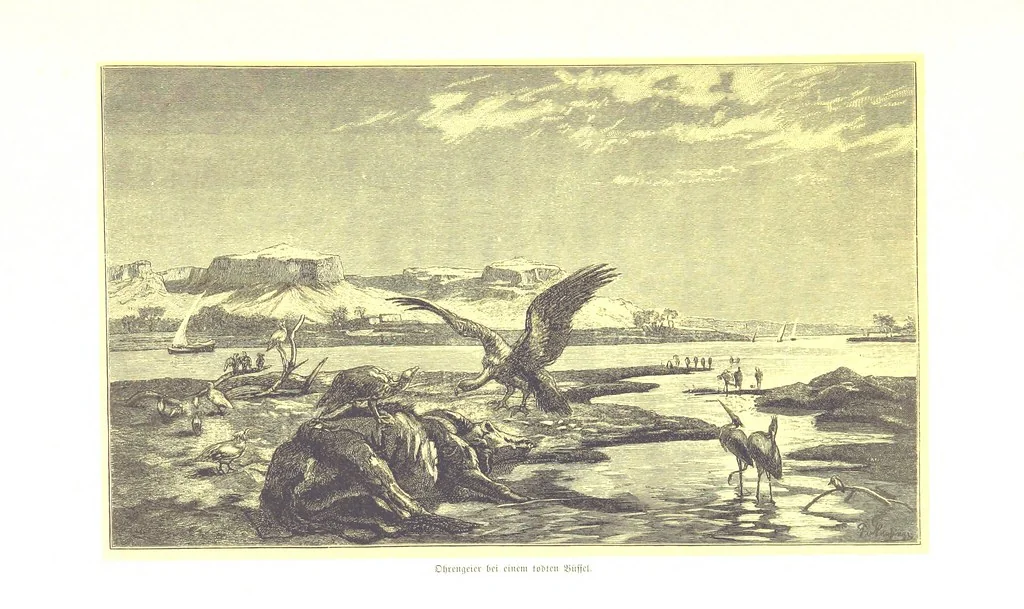 An illustration from Eine Orientreise vom Jahre 1881 ... illustrirt ... von F. von Pausinger, 1885, leaf 127