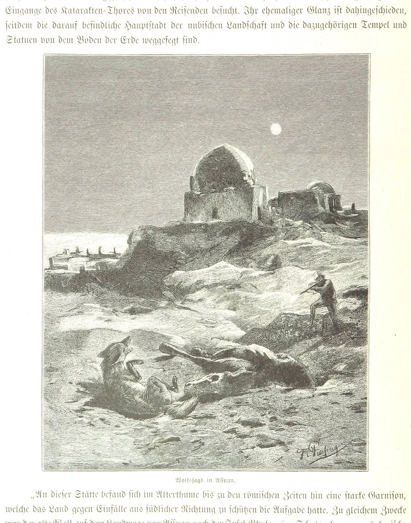 An illustration from Eine Orientreise vom Jahre 1881 ... illustrirt ... von F. von Pausinger, 1885, leaf 140