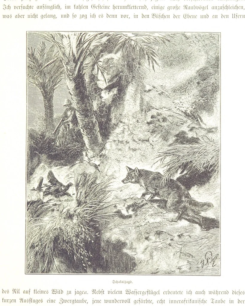 An illustration from Eine Orientreise vom Jahre 1881 ... illustrirt ... von F. von Pausinger, 1885, leaf 151