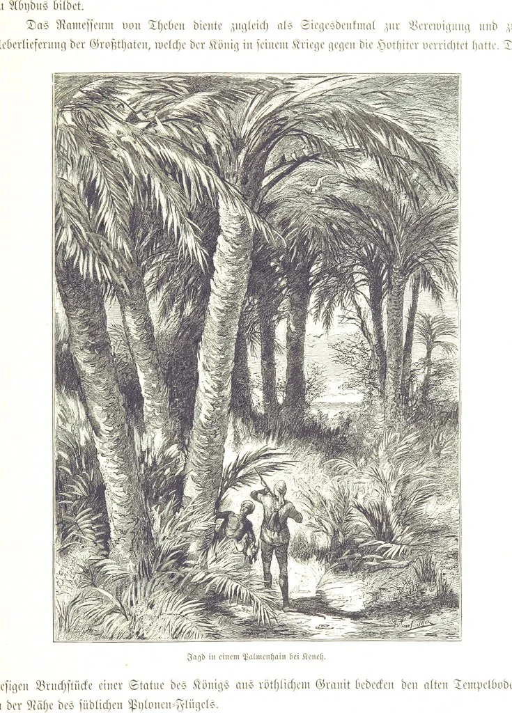 An illustration from Eine Orientreise vom Jahre 1881 ... illustrirt ... von F. von Pausinger, 1885, leaf 169