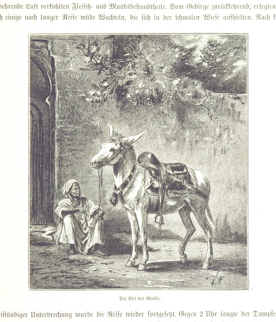 An illustration from Eine Orientreise vom Jahre 1881 ... illustrirt ... von F. von Pausinger, 1885, leaf 171