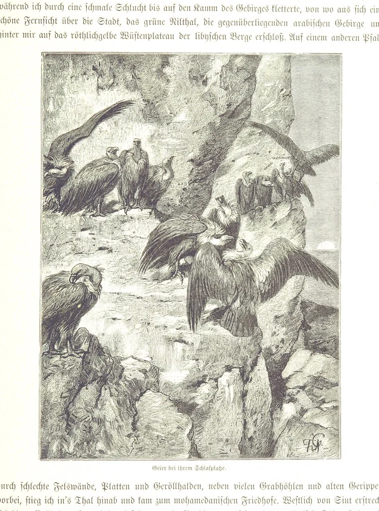 An illustration from Eine Orientreise vom Jahre 1881 ... illustrirt ... von F. von Pausinger, 1885, leaf 173
