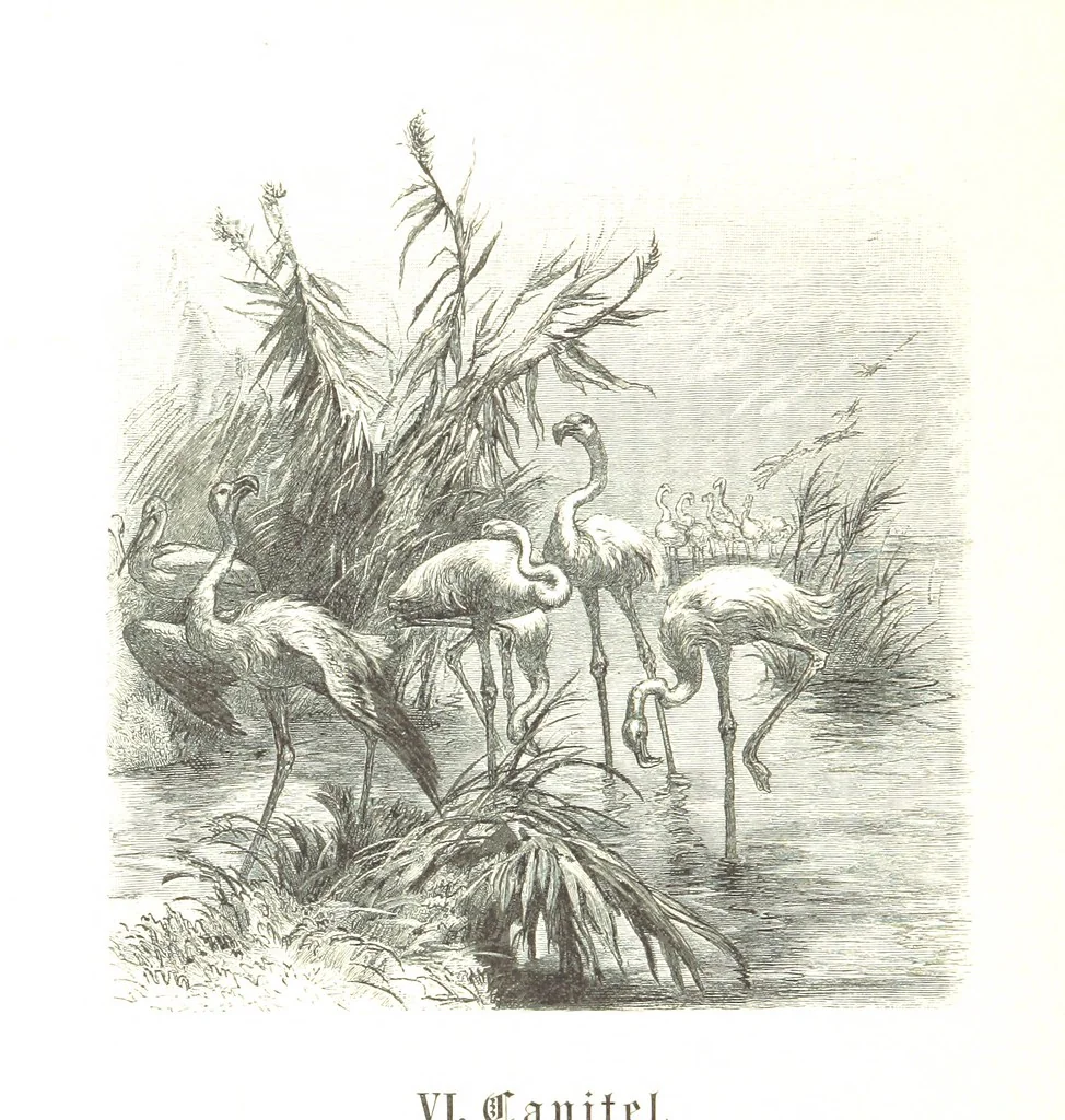 An illustration from Eine Orientreise vom Jahre 1881 ... illustrirt ... von F. von Pausinger, 1885, leaf 184