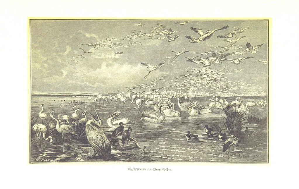 An illustration from Eine Orientreise vom Jahre 1881 ... illustrirt ... von F. von Pausinger, 1885, leaf 197