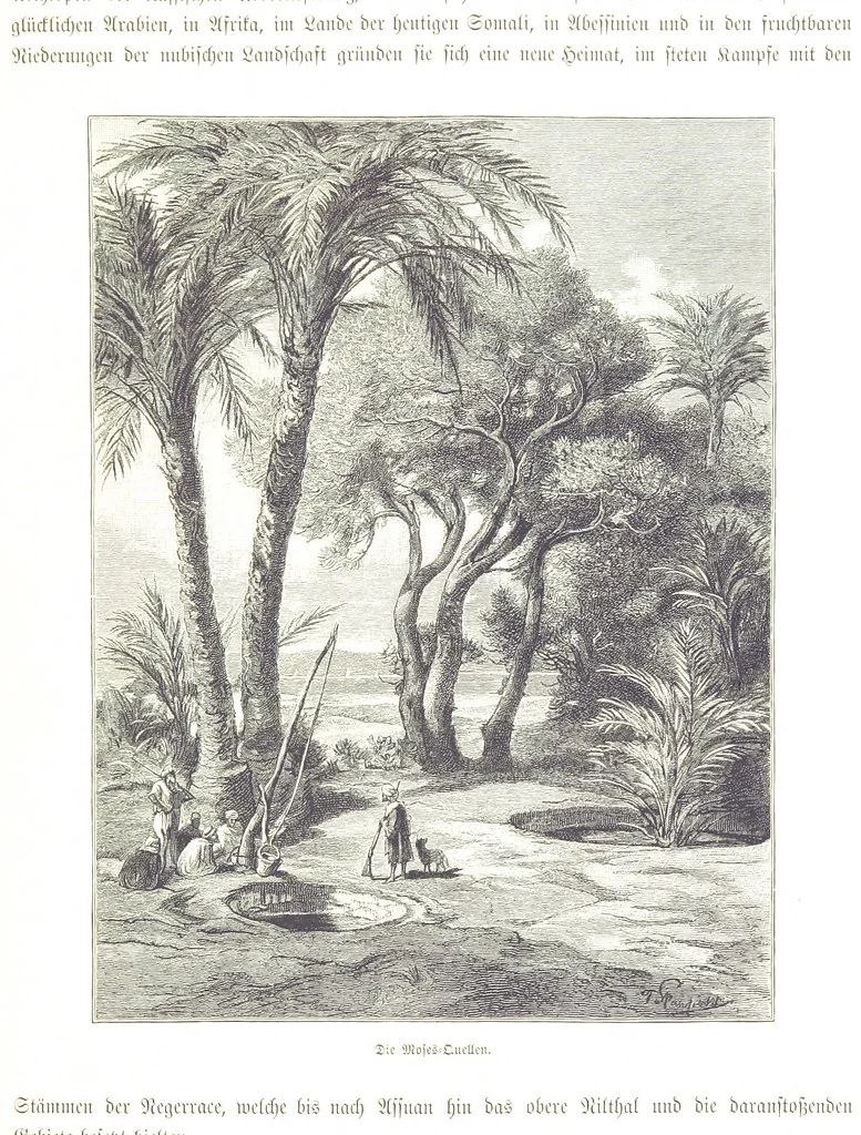 An illustration from Eine Orientreise vom Jahre 1881 ... illustrirt ... von F. von Pausinger, 1885, leaf 223