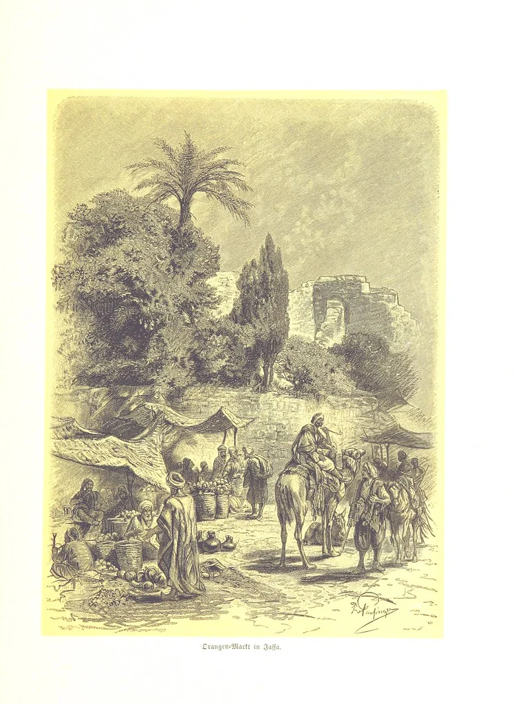 An illustration from Eine Orientreise vom Jahre 1881 ... illustrirt ... von F. von Pausinger, 1885, leaf 241