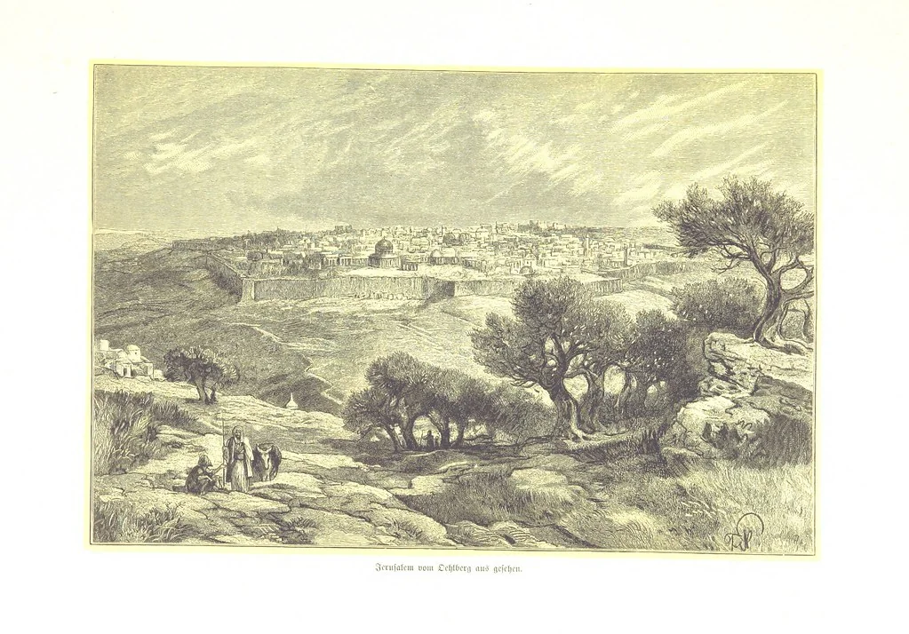 An illustration from Eine Orientreise vom Jahre 1881 ... illustrirt ... von F. von Pausinger, 1885, leaf 261