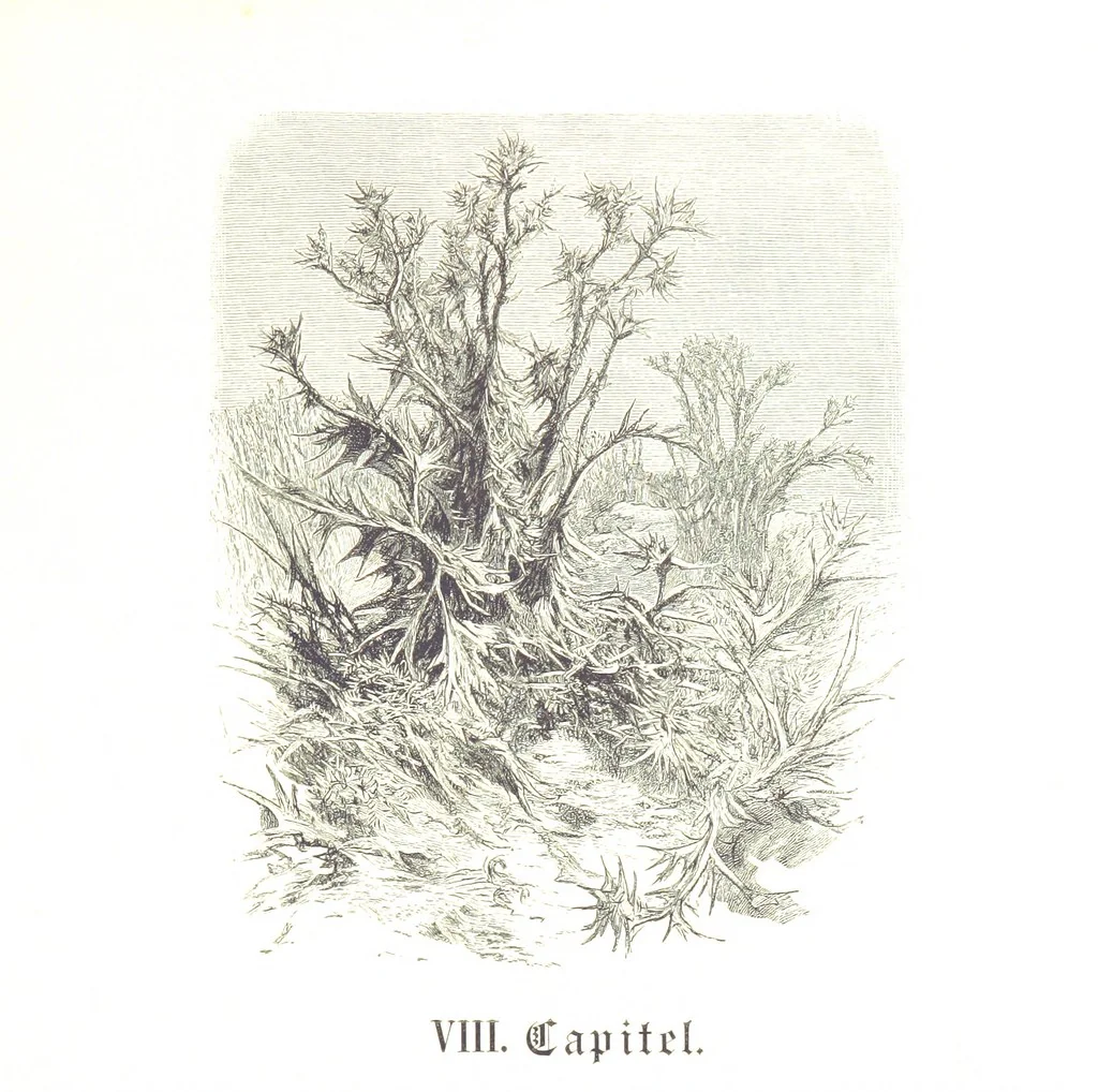 An illustration from Eine Orientreise vom Jahre 1881 ... illustrirt ... von F. von Pausinger, 1885, leaf 265
