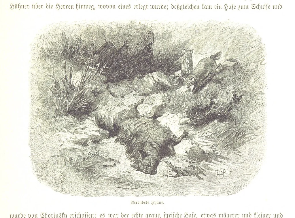 An illustration from Eine Orientreise vom Jahre 1881 ... illustrirt ... von F. von Pausinger, 1885, leaf 279