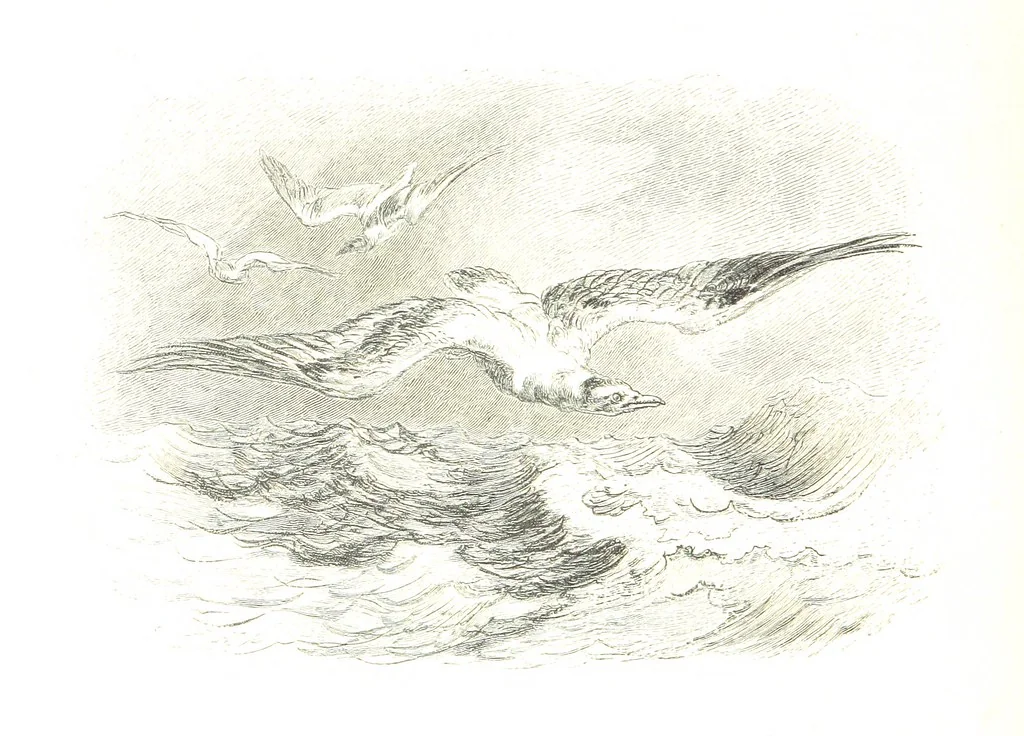 An illustration from Eine Orientreise vom Jahre 1881 ... illustrirt ... von F. von Pausinger, 1885, leaf 28