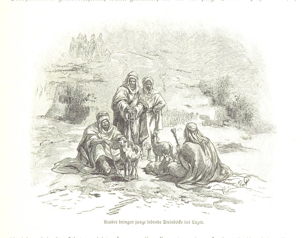 An illustration from Eine Orientreise vom Jahre 1881 ... illustrirt ... von F. von Pausinger, 1885, leaf 281