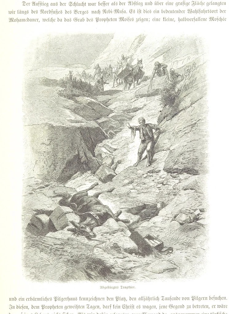 An illustration from Eine Orientreise vom Jahre 1881 ... illustrirt ... von F. von Pausinger, 1885, leaf 293