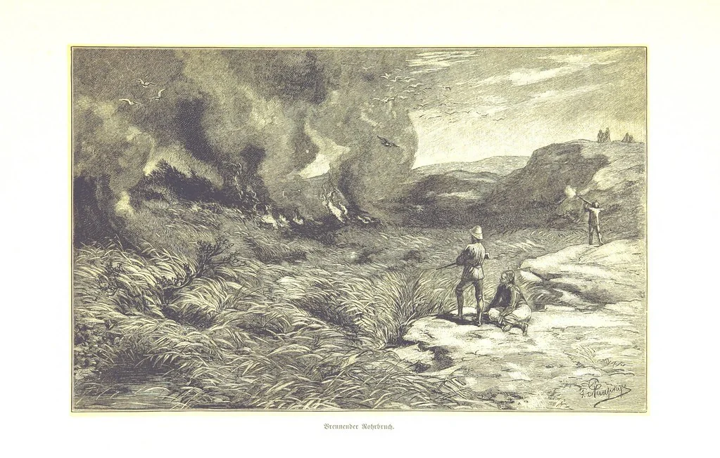 An illustration from Eine Orientreise vom Jahre 1881 ... illustrirt ... von F. von Pausinger, 1885, leaf 295